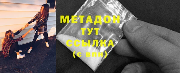 прущие грибы Вязники