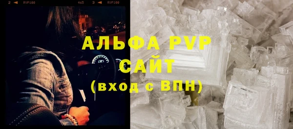 прущие грибы Вязники