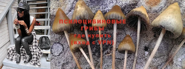 круглые Вязьма