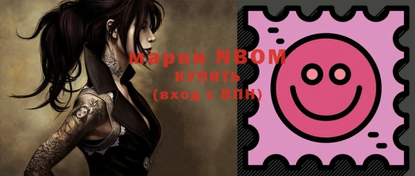 прущие грибы Вязники