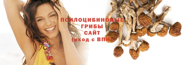 круглые Вязьма