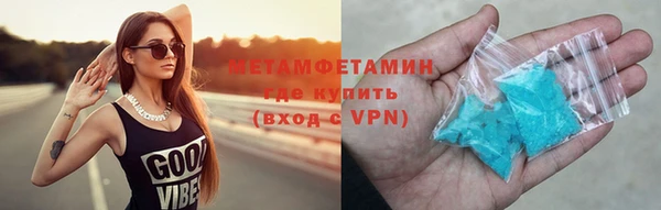 прущие грибы Вязники