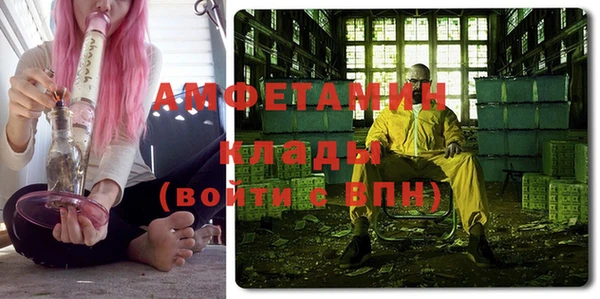 прущие грибы Вязники