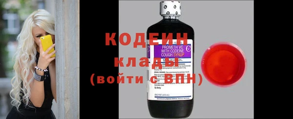 прущие грибы Вязники
