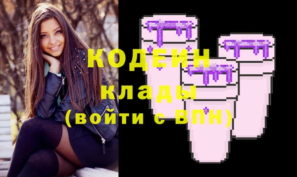 прущие грибы Вязники
