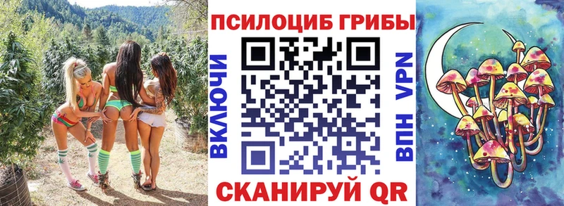 Псилоцибиновые грибы Cubensis Ершов