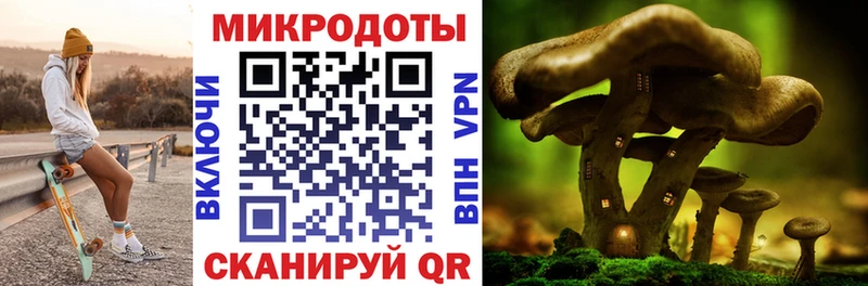 купить закладку  гидра ссылки  Псилоцибиновые грибы мухоморы  Ершов 